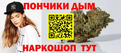 гидропоника Владимир