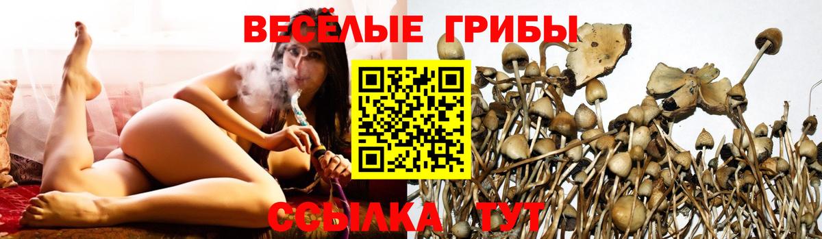Галлюциногенные грибы прущие грибы Дзержинский