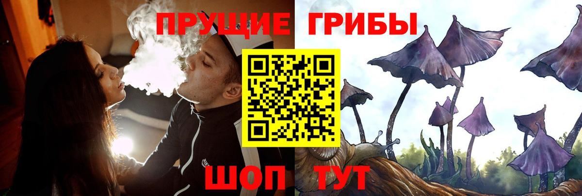 Псилоцибиновые грибы Magic Shrooms  Вход с VPN  Псилоцибиновые грибы Psilocybine cubensis  где можно купить наркотик  Дзержинский 